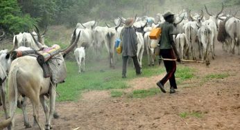 Uproar as Fulani herdsmen take over Benue communities