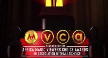 AMVCA 2020: See full list of winners