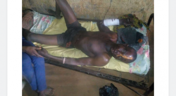 Seven butchered to death as herdsmen attack another Benue community