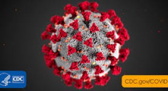 coronavirus: Big fear as new suspected case reported in Nigeria