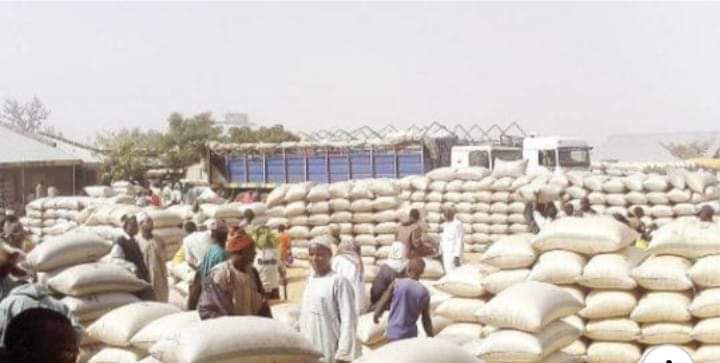 COVID-19: FG sends 110 trailer loads of rice, other grains to Kano State