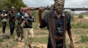 Again, Kastina-Ala bleeds as gunmen kill five, ask Army to vacate Benue State