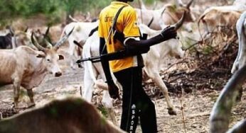 BREAKING: Herdsmen kill 3, kidnap 4 along Otukpo-Oju road