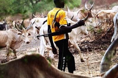 BREAKING: Herdsmen kill 3, kidnap 4 along Otukpo-Oju road