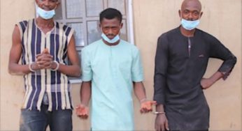 Police: How 3 brothers murdered an Abuja-based widow lured through Facebook