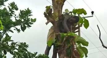 How man was found dead hanging on a tree in Benue