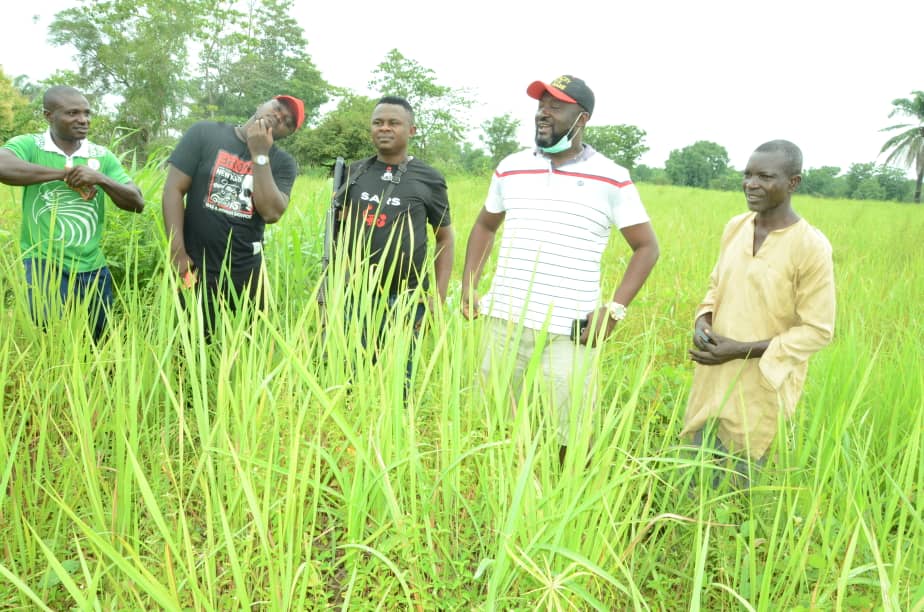 Kidnappers’ Zone in Igumale undergoes deforestation to host Etenyi daily market, timber, garri factories