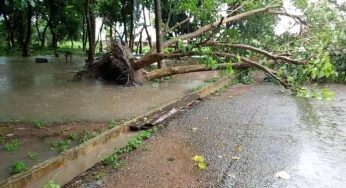 Many rendered homeless as flood submerges 50 houses in Makurdi, Benue State (Photos)