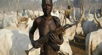 BREAKING: Bloodbath in Kaduna as Fulani herdsmen strike in Chikun LG