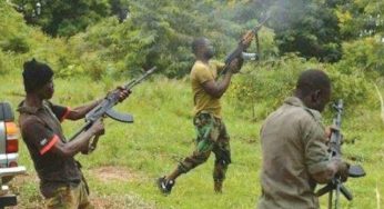 Five persons including police officers killed in Agatu