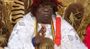 Ameh Michael Oboni: Profile of the first Attah of Igala to have one wife