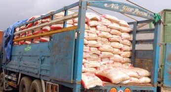 Drama as Benue rejects ‘expired’ three trailer load of rice donated by Buhari govt