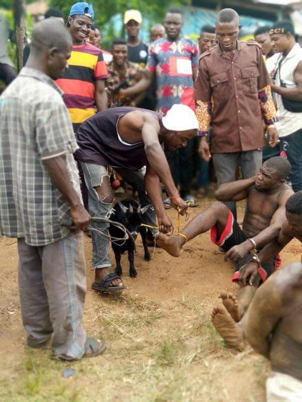 Retired policeman, two others arrested for stealing goat to mark mother’s one year remembrance