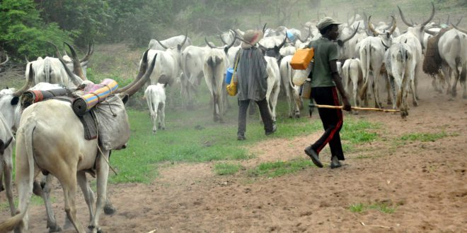 Tension in Benue as Fulani herdsmen give villagers 3-day quit notice