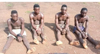 Operation Whirl Stroke kills terrorists in Benue, Nasarawa, recover dangerous arms