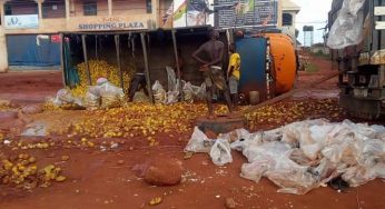 Shame: Otukpo township road in a sorry state (Photos)