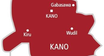 Woman arrested for allegedly beating stepson to death in Kano