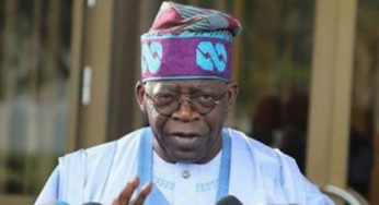 2023 Presidency: Kano Islamic leaders deny endorsing Tinubu 