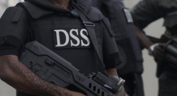DSS uncovers plans for violent protests, warns plotters