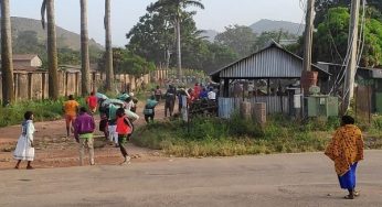 BREAKING: Plateau residents dare govt, loot fertiliser, farm inputs