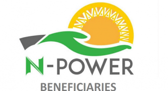 Npower: FG empower 500 independent monitors through cash transfer programme, others