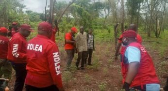 Jungle justice: NDELA official beaten to death after mob mistook them for kidnappers