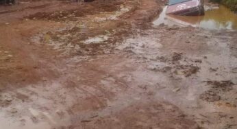 Nigerian govt rehabilitates Otukpo/Ogobia/Ankpa, Oju/Adu/Okoko roads, others