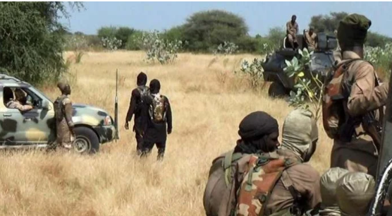 Boko Haram: Bloodbath in Borno as terrorists kill 8 farmers, kidnap 30 others 