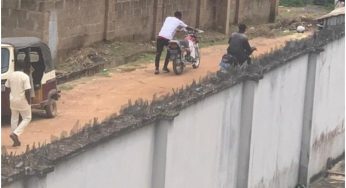 End SARS: Angry youths invade Senator’s house, loot properties over N200m