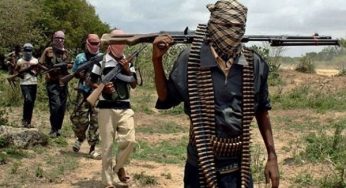 Armed bandits kidnap 13, kill mobile policeman in Niger