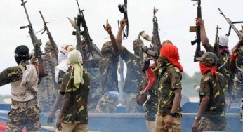 N’Delta militants make 5 demands, write IOCs