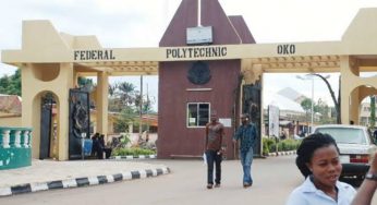 No coloured braids, long artificial lashes, off shoulder dress – Fed Poly Oko releases dress code to students (See full list)