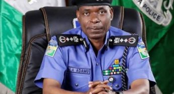 EndSARS: IGP orders withdrawal of policemen from VIPs amid protests