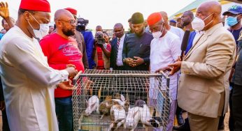 Imo Governor, Hope Uzodinma empowers unemployed youths with rabbits