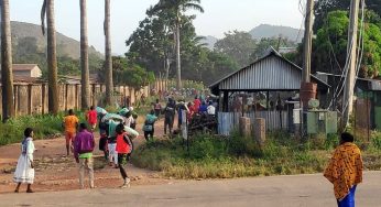 12 in critical condition after eating tainted grains in Plateau