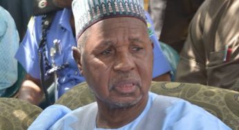 Nigerians will still vote APC in 2023 – Masari boasts