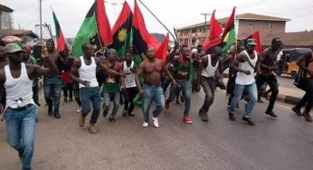 Biafra: PDP reveals what will happen to IPOB if it takes over power in 2023