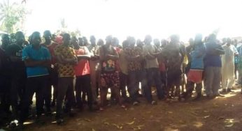 Missing penis: Curfew declared in Benue community