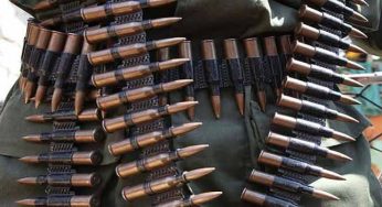 Female soldier arrested for shooting captain in Adamawa