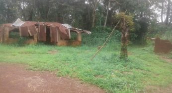 Strange disease: 17 confirmed dead in Owukpa as death toll rises in Benue community