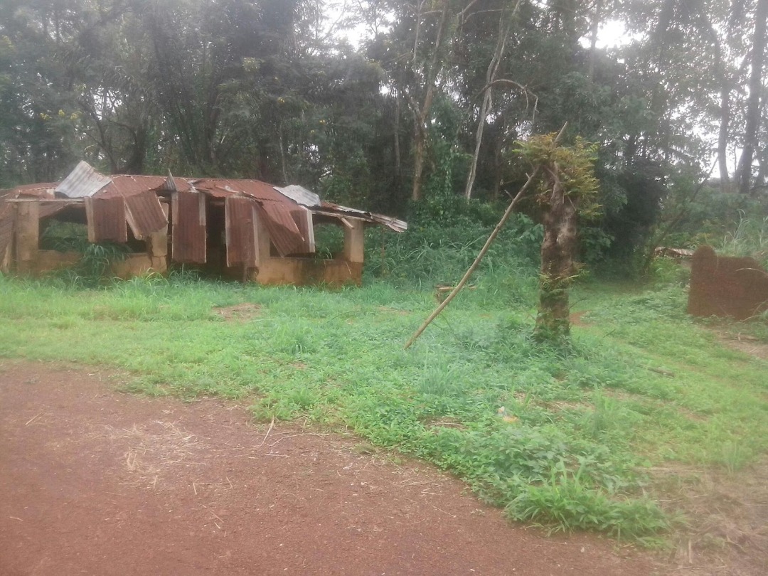 Strange disease: 17 confirmed dead in Owukpa as death toll rises in Benue community