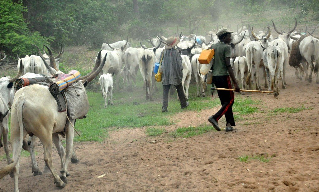 Tension as herdsmen take over Oyo Community