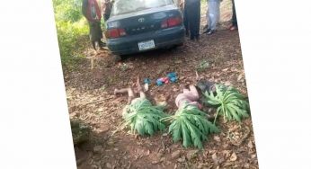 Missing children found dead in car parked inside policeman’s compound in Enugu