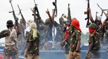 BREAKING: Niger Delta militants threaten attacks in Abuja, Lagos (Video)