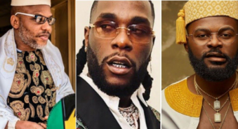 End SARS: Nnamdi Kanu, Falz, Burna Boy, Twitter founder, others accused of using fake news to create anarchy