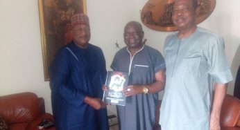 2023: Senator Tilly Gyado asked to support Idoma to produce Benue governor