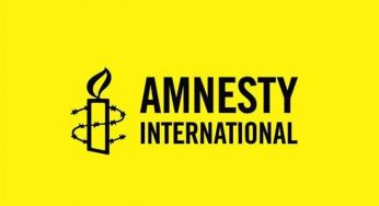 CSO gives Amnesty International 7-days to vacate Nigeria over alleged false report on Nigerian troops