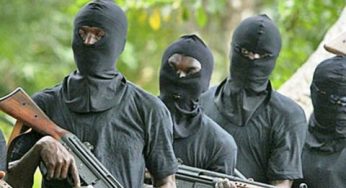 BREAKING: Tension at Oyo Secretariat as masked men clash with security
