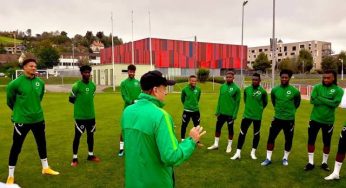 Serious concerns as Super Eagles goalkeepers concede multiple goals ahead of clash