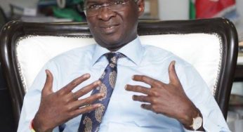 Fashola under fire over 2023 comment